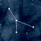 Cancer Constellation Cochlear Nucleus 6 Skin